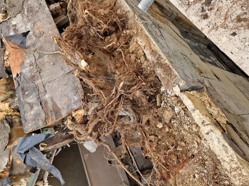 Bens Demolition Division photo no. 4