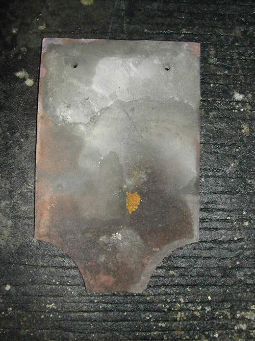 bensreckyard ebay photo Fish tail plain tile 6